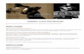 GENERAL CLASS DESCRIPTIONS - Flamenco Arts … Class Descriptions.pdf · GENERAL CLASS DESCRIPTIONS Indicates classes assisted by professional flamenco artists serving as translators/interpreters.