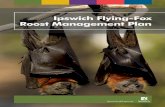 Ipswich Flying Fox Roost Management Plan · PDF file6.6.9 Yamanto Flying-Fox Roost ... foxes aimed at reducing conflict with the surrounding area, providing visual separation or mitigating