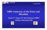 MRI Anatomy of the Knee and Shouldereradiology.bidmc.harvard.edu/LearningLab/musculo/Song.pdf · MRI Anatomy of the Knee and Shoulder ... Slide 17. Shanahan D ... • Larry Barbaras
