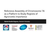Gabriel Keeble-Gagnere, Murdoch  · PDF fileReference Assembly of Chromosome 7A as a Platform to Study Regions of Agronomic Importance Gabriel Keeble-Gagnere, Murdoch University