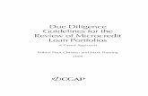 Due Diligence Guidelines for the Review of Microcredit ... · PDF fileDue Diligence Guidelines for the . Review of Microcredit Loan Portfolios. A Tiered Approach Robert Peck Christen