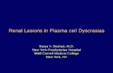 Renal Lesions in Plasma cell  · PDF filek 12 Dominant hepatic (5) ... 2 SCC Lymphoma, K: ... LM – proximal tubular injury – Intracytoplasmic – Needle/geometric