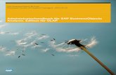 Administratorhandbuch für SAP BusinessObjects Analysis ... · PDF fileSAP BusinessObjects Analysis, Edition für OLAP, ist ein Abfrage- und Analysetool, mit dessen Hilfe Geschäftsanalysten