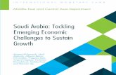 Saudi Arabia: Tackling Emerging Economic Challenges · PDF fileSaudi Arabia: Tackling Emerging Economic Challenges to Sustain Growth Ahmed Al-Darwish, ... Business Environment: How