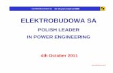 POLISH LEADER IN POWER ENGINEERING -  · PDF filepolish leader in power engineering ... isolated phase busduct 90% 10% ... isolated -phase bus non -segregated - phase bus