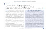 Performance Improvement What Do Collaborative · PDF fileWhat Do Collaborative Improvement Projects Do? Experience from Seven Countries ... the case of the French elderly care collaborative),