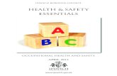HEALTH & SAFETY ESSENTIALS - Ipswich Borough Council · PDF filesmall businesses” [indg259] - . ... Health & Safety Essentials--3 9 basic health and safety arrangements that all