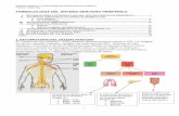 RECORDATORIO DEL SISTEMA NERVIOSO - …aprendeenlinea.udea.edu.co/lms/moodle/pluginfile.php/269722/mod... · Sistemas Orgánicos I. Farmacología del Sistema Nervioso Periférico
