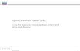Ingenuity Pathways Analysis (IPA) Using the Ingenuity ... · PDF fileUsing the Ingenuity Knowledgebase understand genes and disease Title, Location, ... pathway building). ... causally
