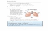 RESPIRATORY PHYSIOLOGY The process of … physiolo… · RESPIRATORY PHYSIOLOGY The process of respiration is divided into four categories: ... The respiratory system includes the