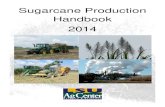 Sugarcane Production Handbook 2014 - LSU · PDF fileSugarcane Production Handbook 2014 . 1 | Page Table of Contents . Section I ... USDA-ARS, Sugarcane Research Unit; and the American