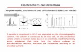 Electrochemical Detection - Michigan State University · PDF fileElectrochemical Detection A sample is introduced in HPLC and separated on the chromatographic column. The column is