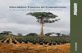 Herakles Farms in Cameroon - · PDF filecompany Herakles Farms in Cameroon demonstrates the threat posed by badly managed expansion of oil palm plantations. The project covers 73,086