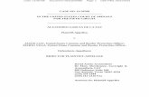 Plaintiff’s Brief -   · PDF fileALEJANDRO GARCIA DE LA PAZ ... MARIO VEGA, United States Customs and Border Protection Officer, ... 44 F.3d 256 (5th Cir. 1995