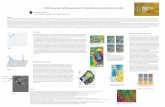InSAR signatures surface expression of natural disasters ... (Italy... · InSAR signatures surface expression of natural disasters and human activities ABSTRACT The use of Synthetic