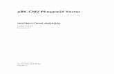 Manual: pBK-CMV Phagemid  · PDF filepBK-CMV Phagemid Vector INSTRUCTION MANUAL Catalog #212209 Revision A.01 For In Vitro Use Only 212209-12