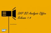 SAP BO Analysis Office Release 1 - SAP CH Events. SAP BO... · SAP BO Analysis Office Release 1.4 David Richert . W E L C O M E ... Broadcasting (Next Release of SAP BO Platform)