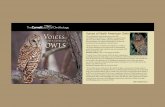 Voices of North American Owls - animalrecordings.organimalrecordings.org/PMD/Owls/VoicesOfOwls_Booklet.pdf · Voices of North American Owls ... an Elf Owl in the Arizona desert. By