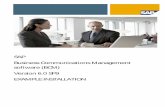 SAP Business Communications Management EXAMPLE …docshare04.docshare.tips/files/5774/57749053.pdf · 1.4 Components of the SAP BCM phone system ... Chat Portal Server (these web