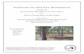 Guidelines for Red Pine Management - · PDF fileGuidelines for Red Pine Management based on Ecosystem Management Principles for State Forestland in Michigan Prepared by the . MICHIGAN