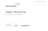 Agile Working - Home - NHS Employers/media/Employers/Documents... · Agile working is a way of working in which an organisation empowers its people to work where, when and how they
