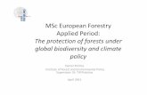 The protection of forests under global biodiversity and ... · PDF fileDescription • Participation in the project: The protection of forests under global biodiversity and climate