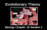 Biology Chapter 16 Section 1 - Quia · PDF fileBiology Chapter 16 Section 1 ... Adapted from Holt Biology 2008. Chapter 16 Section 1: ... mountains and form new rocks and