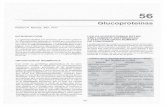 Bioquimica de Harper - Gliconutrientes España · PDF filede los grupos sanguineos son glucoproteinas, en tanto que otras son ... 762 Bioquimica de Harper ... Biosynthetic controls