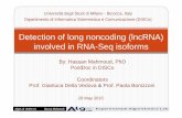 Detection of long noncoding (lncRNA) involved in RNA · PDF fileDetection of long noncoding (lncRNA) involved in ... Hassan Mahmoud Detection of long noncoding (lncRNA) involved in