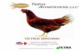 TETRA BROWN management guide NA 2012 edition … BROWN management g… · tetra brown north american management guide spring 2012 edition tetra brown