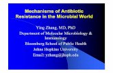 Mechanisms of Antibiotic Resistance in the Microbial · PDF fileMechanisms of Antibiotic Resistance in the Microbial World Ying Zhang, MD, PhD Department of Molecular Microbiology