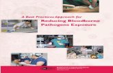 This page intentionally left blank. - dir.ca. · PDF filePublishing Information A Best Practices Approach for Reducing Bloodborne Pathogens Exposure was developed by the Education