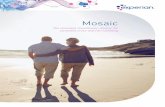 Mosaic UK brochure -  · PDF fileMosaic The consumer classification solution for consistent cross-channel marketing