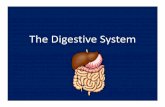 The Digestive System - River Dell Regional · PDF fileWhy do you eat food? •Because your cells need energy to function •Because your cells need raw materials to keep building your