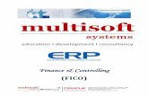 Finance & Controlling -  · PDF fileIntroduction to ERP and SAP ... The answer to this question is really tricky, ... HR & Interview Skills