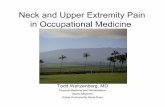 Neck and Upper Extremity Pain in Occupational · PDF fileNeck and Upper Extremity Pain in Occupational Medicine Todd Weitzenberg, MD Physical Medicine and Rehabilitation Sports Medicine