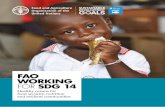 FAO working for SDG 14 - Food and Agriculture  · PDF fileFAO WORKING FOR SDG 14 Healthy oceans for food security, nutrition and resilient communities