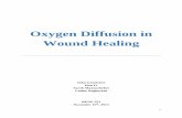 Oxygen Diffusion in Wound Healing - UC San Diego ...isn.ucsd.edu/classes/beng221/problems/2013/project-10-Oxygen... · Oxygen Diffusion in Wound Healing John Gruetzner Han Li ...