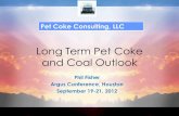 Pet Coke Consulting, · PDF fileElectricity can solve the GHG problem for vehicles, except: • Electricity made from gas, coal, oil, LNG, or pet coke makes CO2, although power from