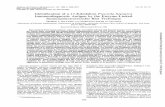 Identification of Fasciola hepatica Immunodiagnostic ...jcm.asm.org/content/26/10/2048.full.pdf · F. HEPATICA IMMUNODIAGNOSTIC ANTIGENS 2049 treated with bithionol (50 mg/kg) and