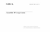Audit Program - Small Business · PDF fileThis form was electronically produced by ... to complete the audit objectives and the specific audit steps included in the audit program and