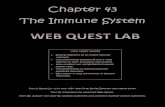 Chapter 43 The Immune System - CARNES AP BIO · PDF fileChapter 43 The Immune System ... IMMUNE SYSTEM WEB QUEST for AP BIOLOGY. I. m m u n e. m. ... Reading Guide to finish your research