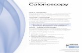 Information about Colonoscopy - Queensland · PDF fileHow is colonoscopy performed? Sedation Before the procedure a light anaesthetic (sedative) is usually given – you will not receive