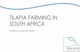 TILAPIA FARMING IN SOUTH AFRICA Kelly presentation _ World... · TILAPIA FARMING IN SOUTH AFRICA De-Risking a large scale project. WHY TILAPIA IN SA? Well, what the hell else is there?