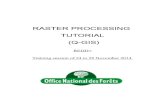 RASTER PROCESSING TUTORIAL (Q-GIS) - · PDF fileand save in the file Training_session_QGIS\Processing_data\Raster An affine (linear) transformation is used when the image is referenced