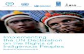 Implementing on the Rights of - Inter-Parliamentary Unionarchive.ipu.org/PDF/publications/indigenous-en.pdf · Implementing the UN Declaration on the Rights of Indigenous Peoples