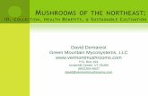 MUSHROOMS OF THE  · PDF fileMUSHROOMS OF THE NORTHEAST: ID, COLLECTION, HEALTH BENEFITS, & SUSTAINABLE CULTIVATION David Demarest Green Mountain Mycosystems, LLC