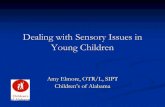 Dealing with Sensory Issues in Young Children - UCP of …ucpalabama.org/.../2015/05/sensory-issues-in-young-children.pdf · Dealing with Sensory Issues in Young Children ... Dealing