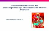 Gastroenteropancreatic and Bronchopulmonary Neuroendocrine ...itr8.com/hosted/cnets/ottawa2012/attachments/slides/3a_panzani.pdf · Gastroenteropancreatic and Bronchopulmonary Neuroendocrine