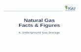 Natural Gas Facts & Figures - International Gas · PDF file4. Underground Gas Storage Source : WOC2 database, (Cedigaz, IHS Cera) Types of UGS, per countries : distribution, WGV, maps